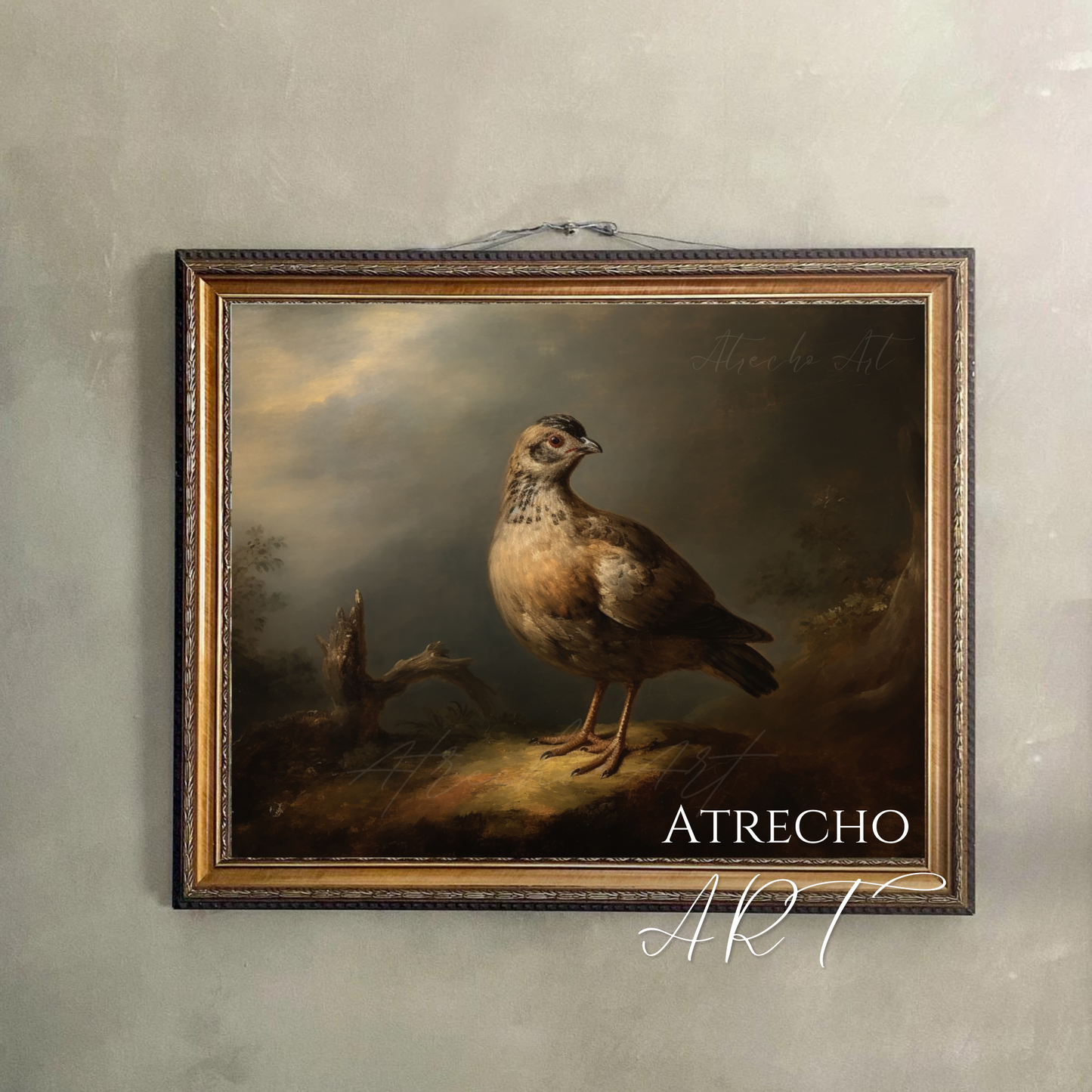 QUAIL | Printed Artwork | AN81 - Atrecho Art