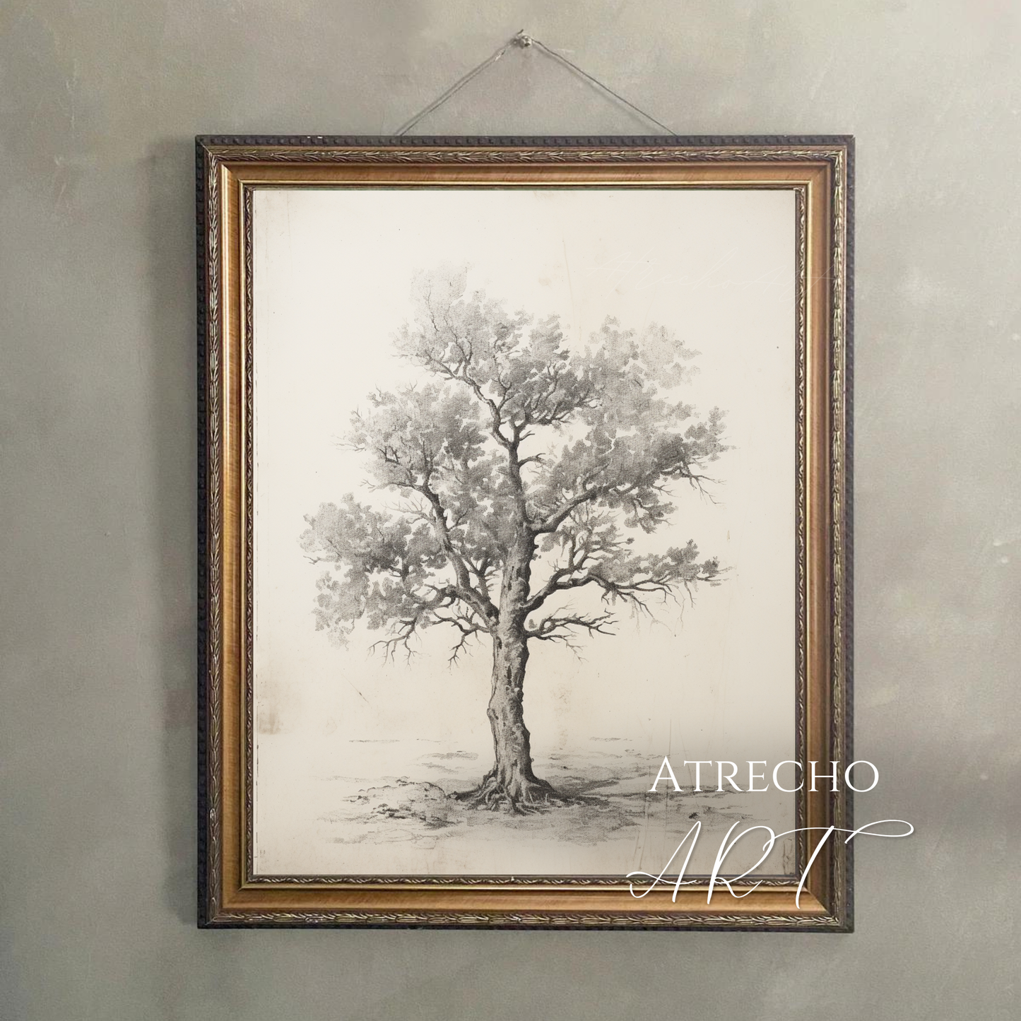 Sweet chestnut tree print hung flush on a neutral wall, showing the antique folio-style specimen in place by Atrecho Art
