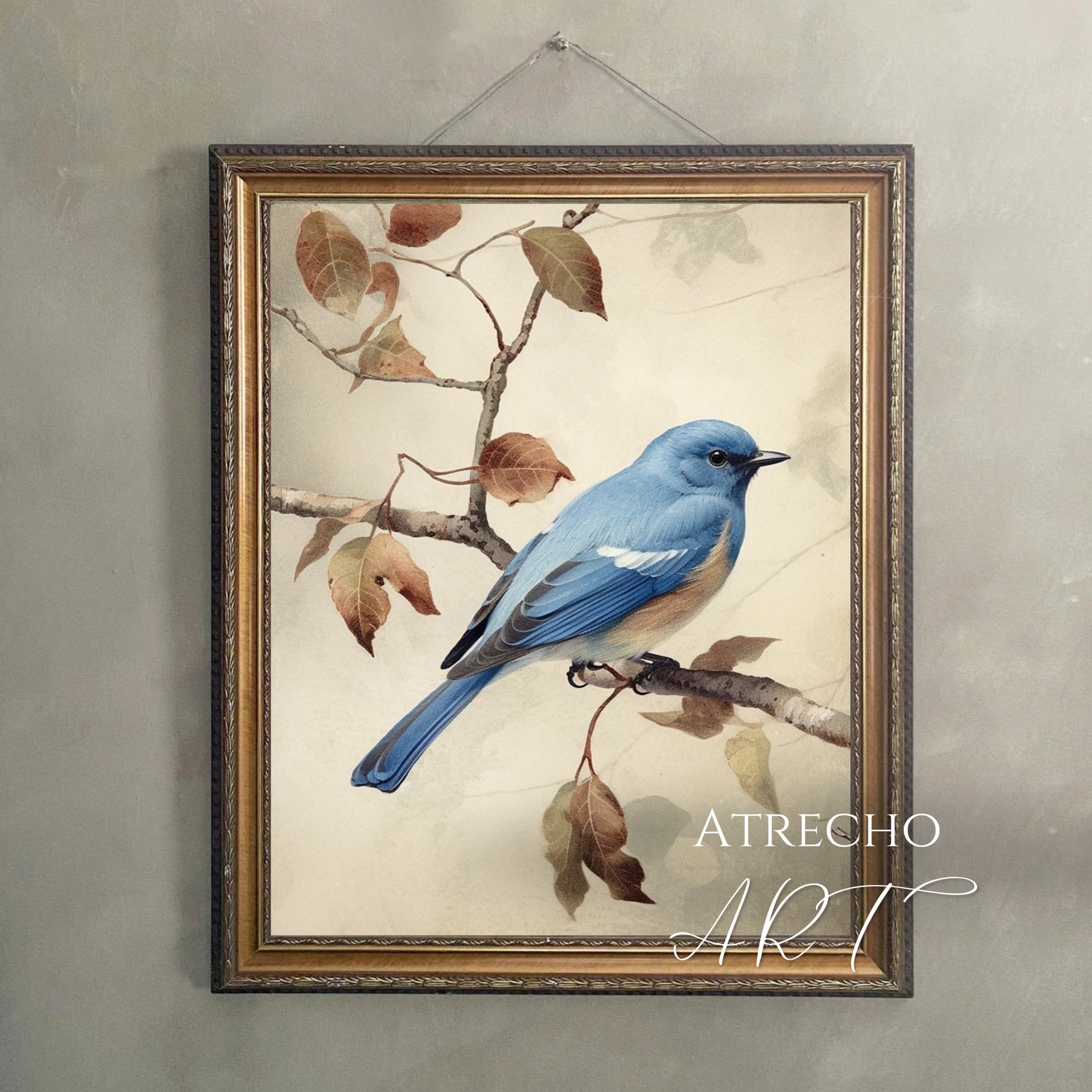 BLUEBIRD | Printed Artwork | AN09 - Atrecho Art
