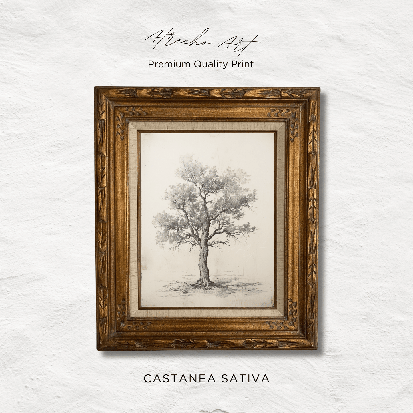 CASTANEA SATIVA TREE | Printed Artwork | TR07