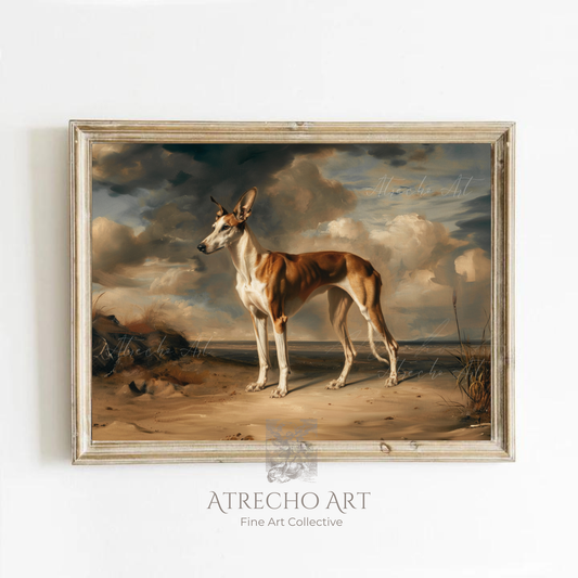 Ibizan Hound art print in distressed silver frame on white wall — Spanish Baroque sighthound portrait on sandy beach, AN80 by Atrecho Art