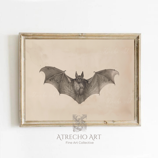 BAT | Œuvre imprimée | WH25