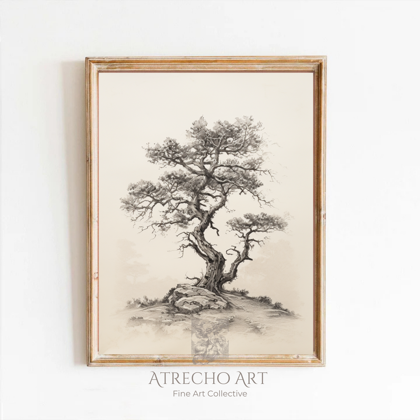 Vintage botanical tree print featuring detailed Algarrobo tree illustration with gnarled branches and delicate foliage, perfect for Mediterranean home decor