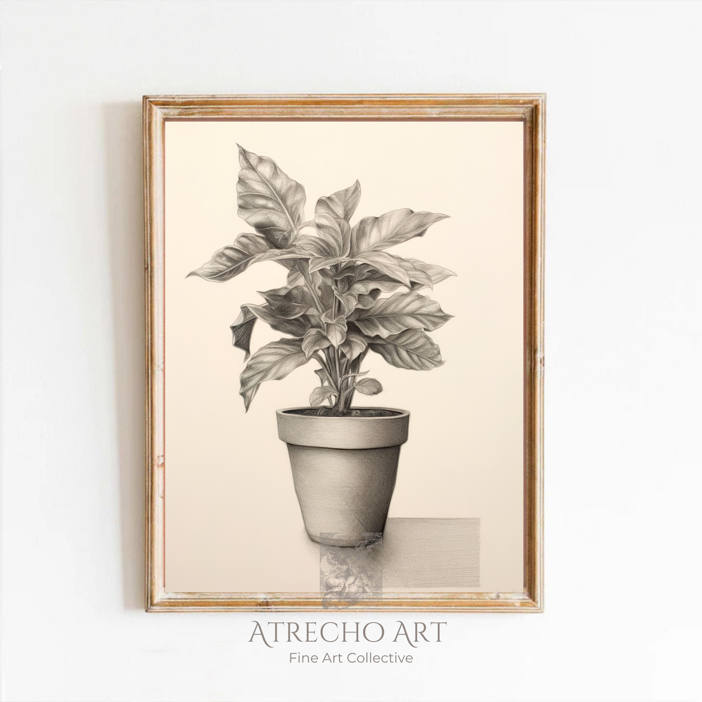 POTTED PLANT | Printed Artwork | TR19