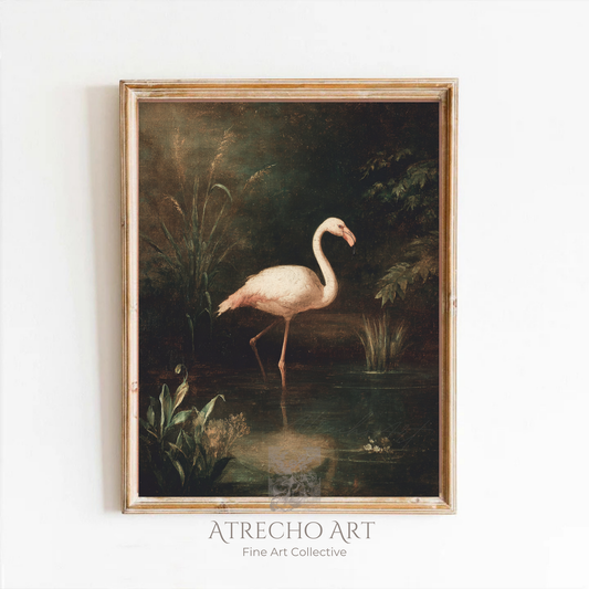 Flamingo art print inspired by 19th-century Andalusian natural history illustration, archival quality