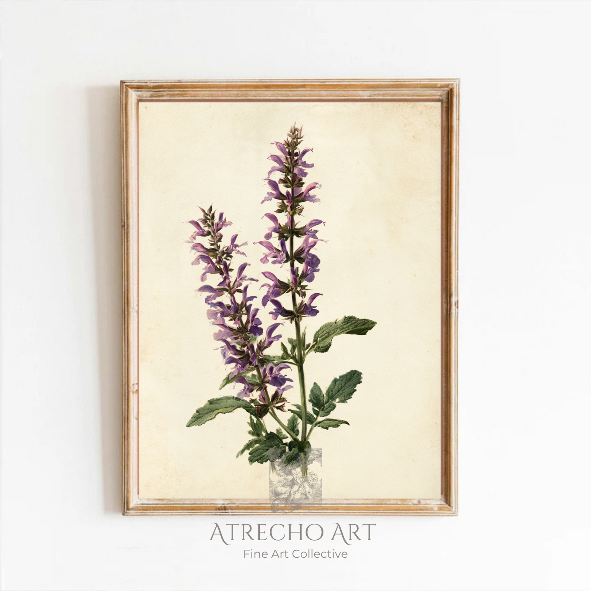 Spanish sage botanical print in a wood frame on a neutral wall, vintage purple floral herbarium art by Atrecho Art