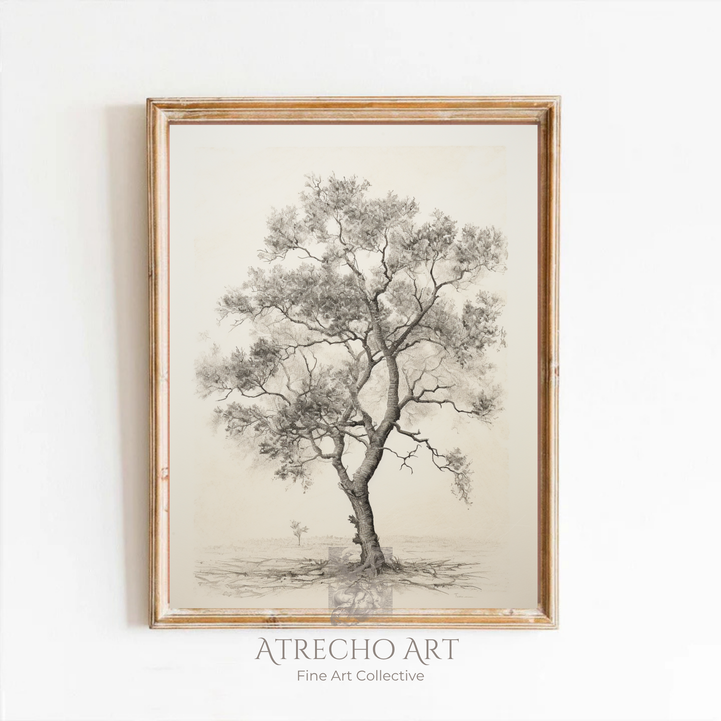 Lámina artística de árbol Carballo | Lámina botánica vintage | Naturaleza del viejo mundo
