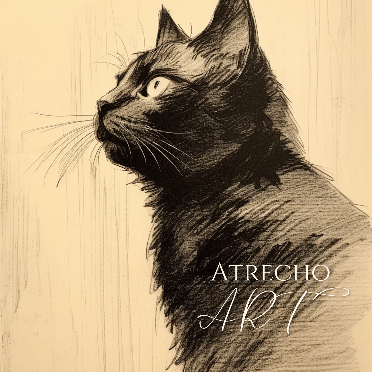 CHAT NOIR | Oeuvre imprimée | AN01