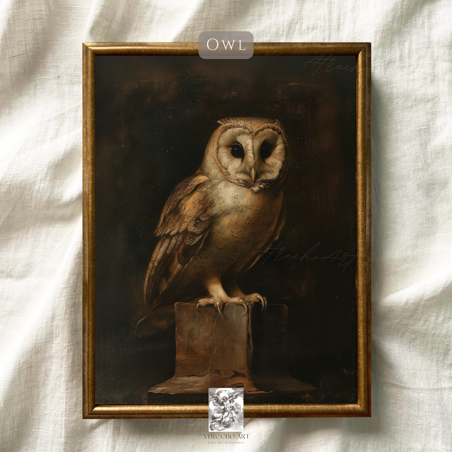 OWL | Print or Canvas | AN63