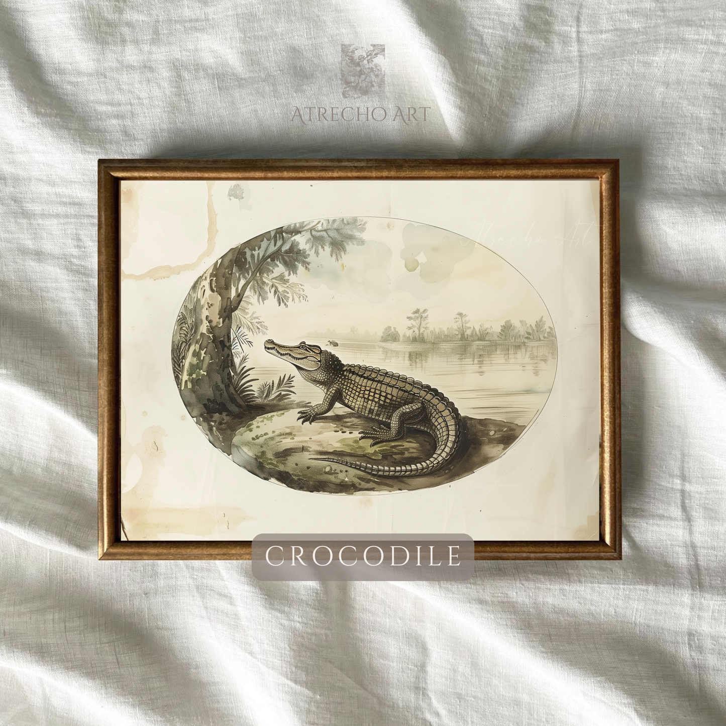 CROCODILE | Printed Artwork | AN95