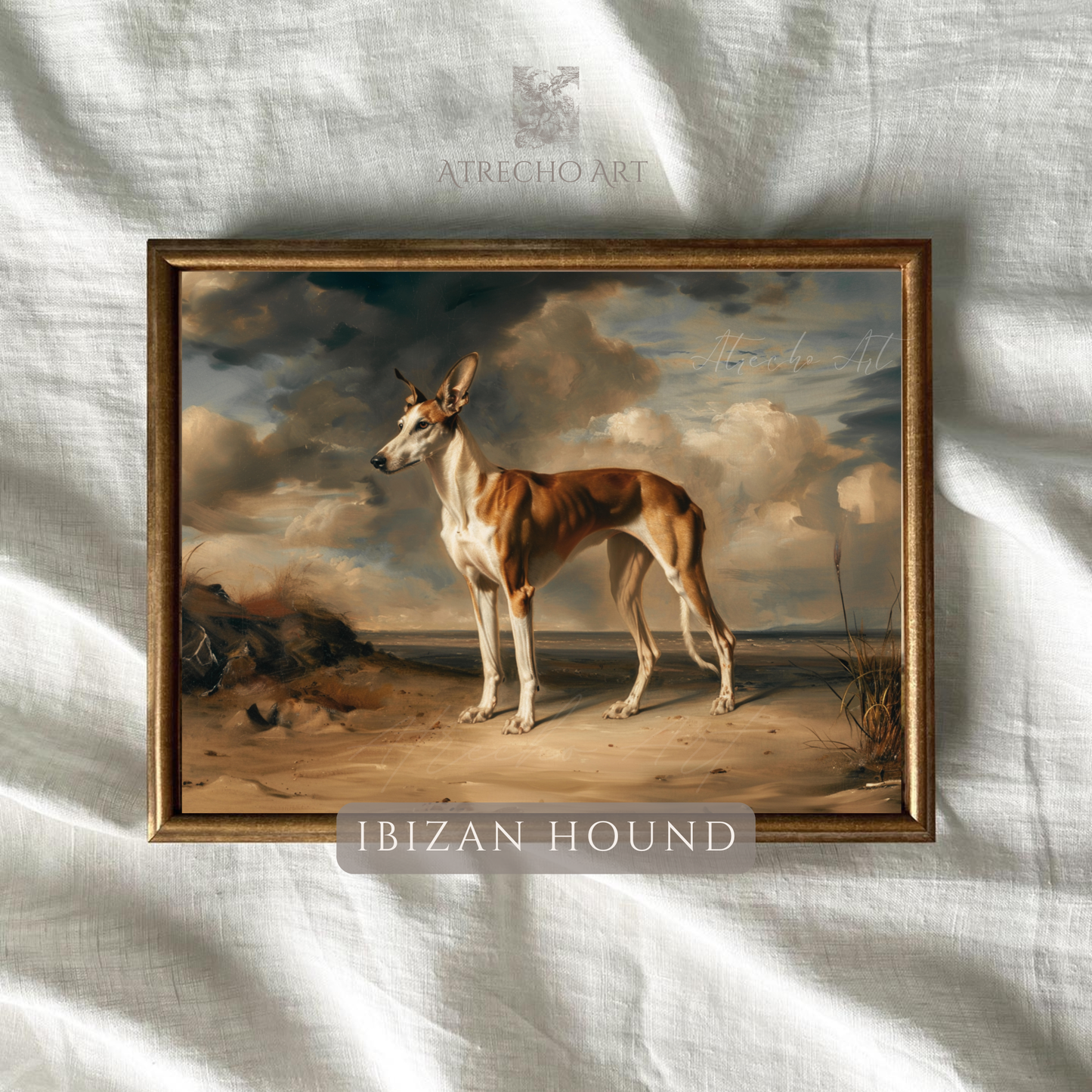 Ibizan Hound art print in gold frame on linen background — labeled Spanish dog breed portrait with warm natural texture, AN80 by Atrecho Art