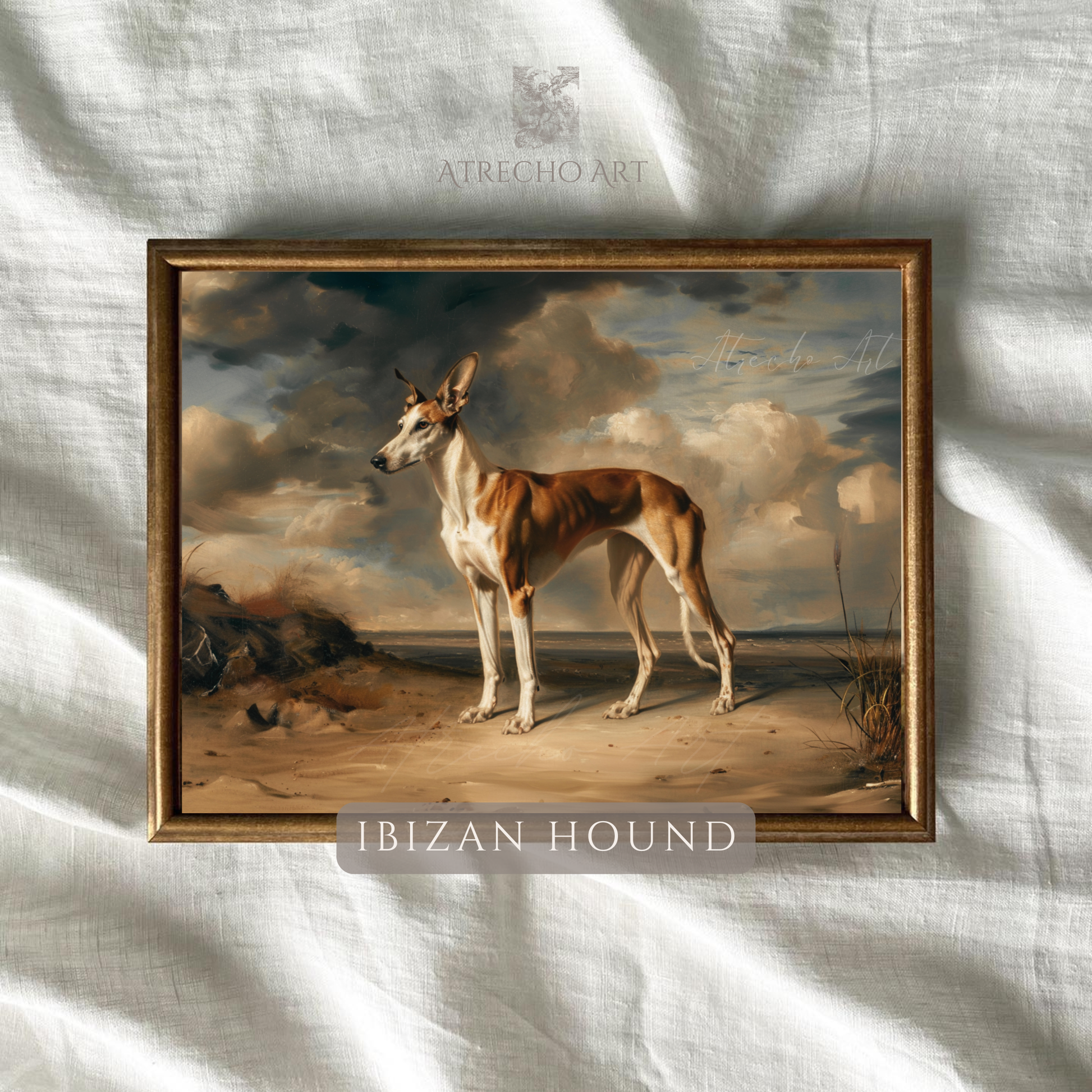 Ibizan Hound art print in gold frame on linen background — labeled Spanish dog breed portrait with warm natural texture, AN80 by Atrecho Art