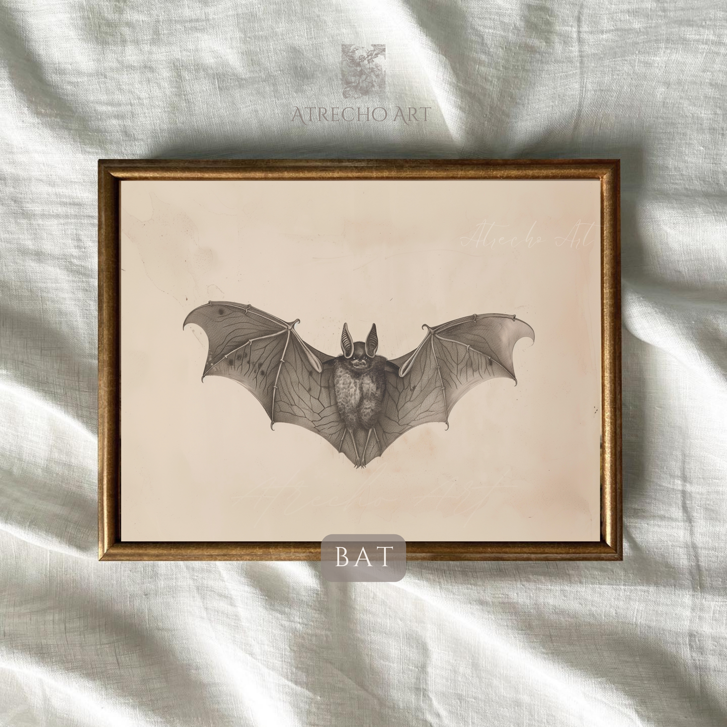 BAT | Œuvre imprimée | WH25