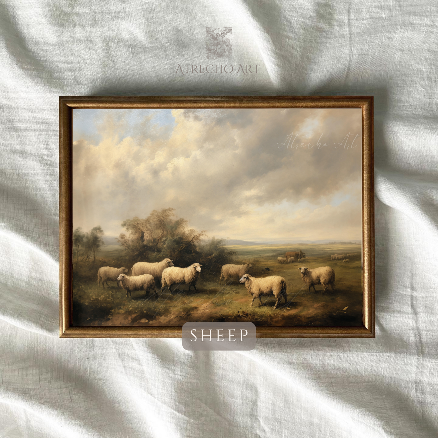 SHEEP | Printed Artwork | AN47 - Atrecho Art