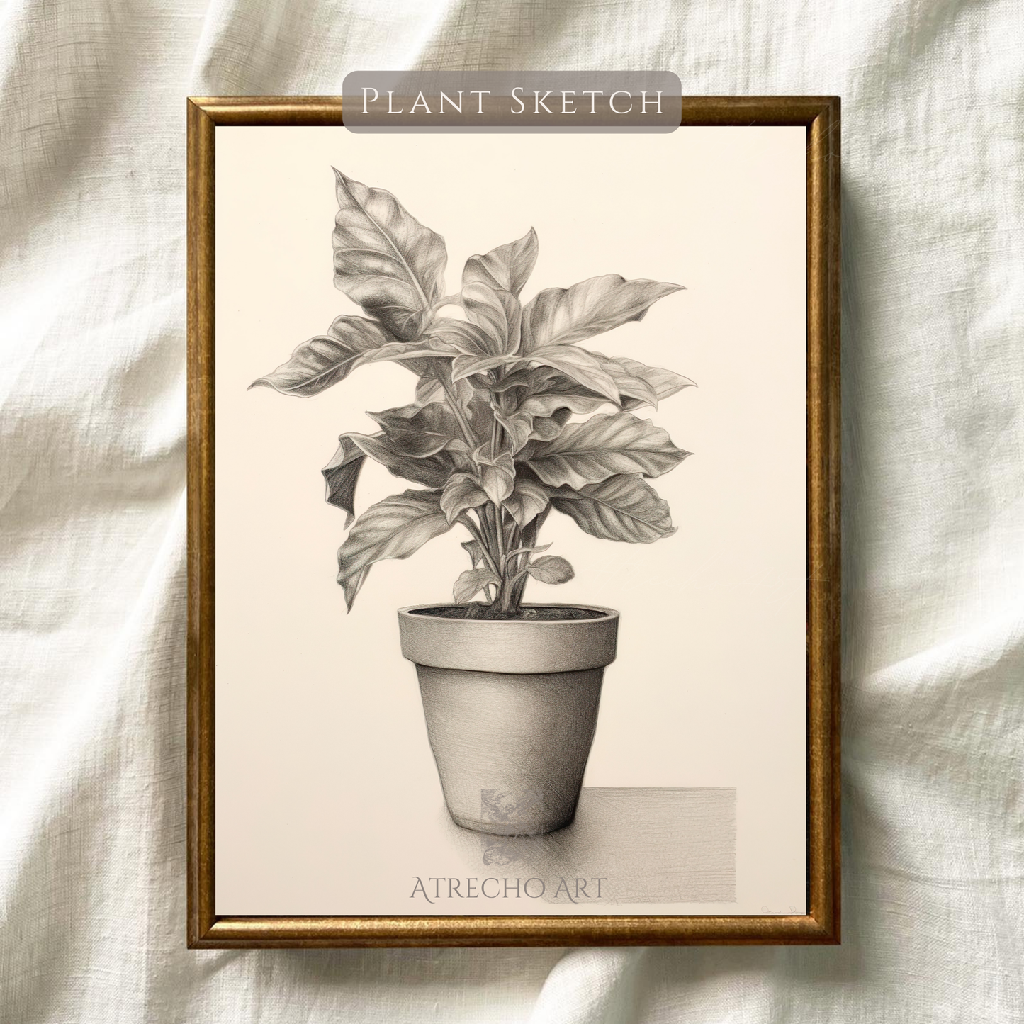 POTTED PLANT | Printed Artwork | TR19