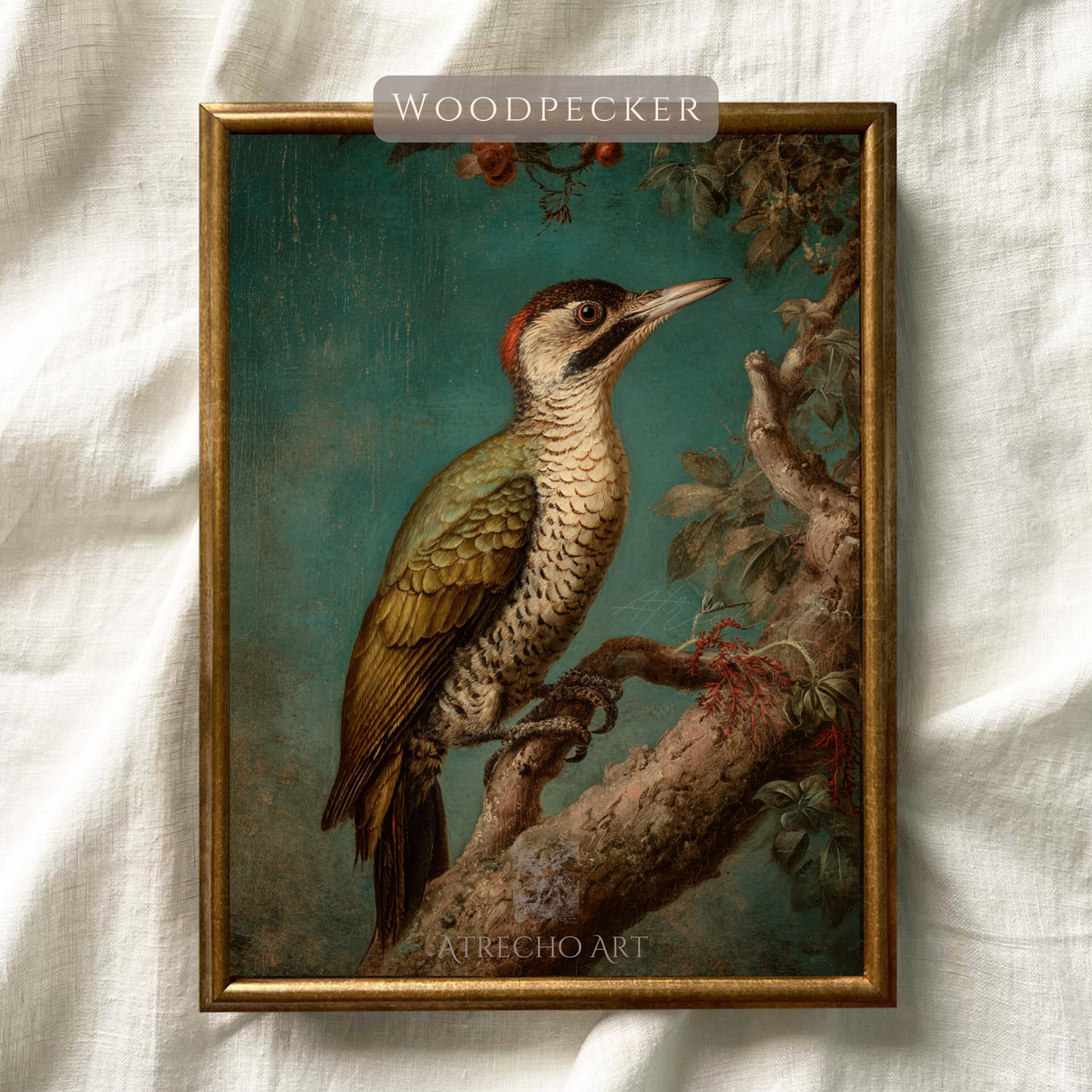Vintage woodpecker art print illustration with botanical elements on teal background, natural history style