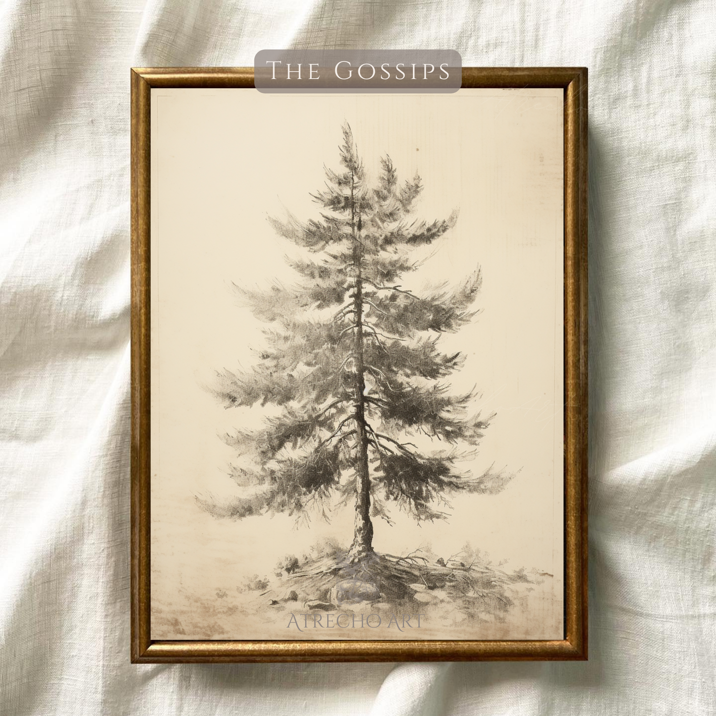 ABIES ALBA TREE | Printed Artwork | TR09