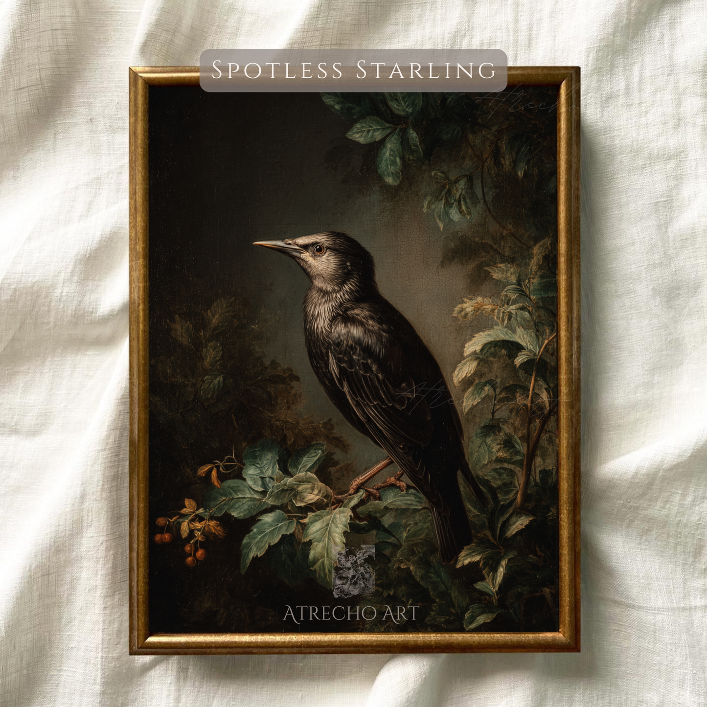 STARLING NOIR | Oeuvre imprimée | AN37