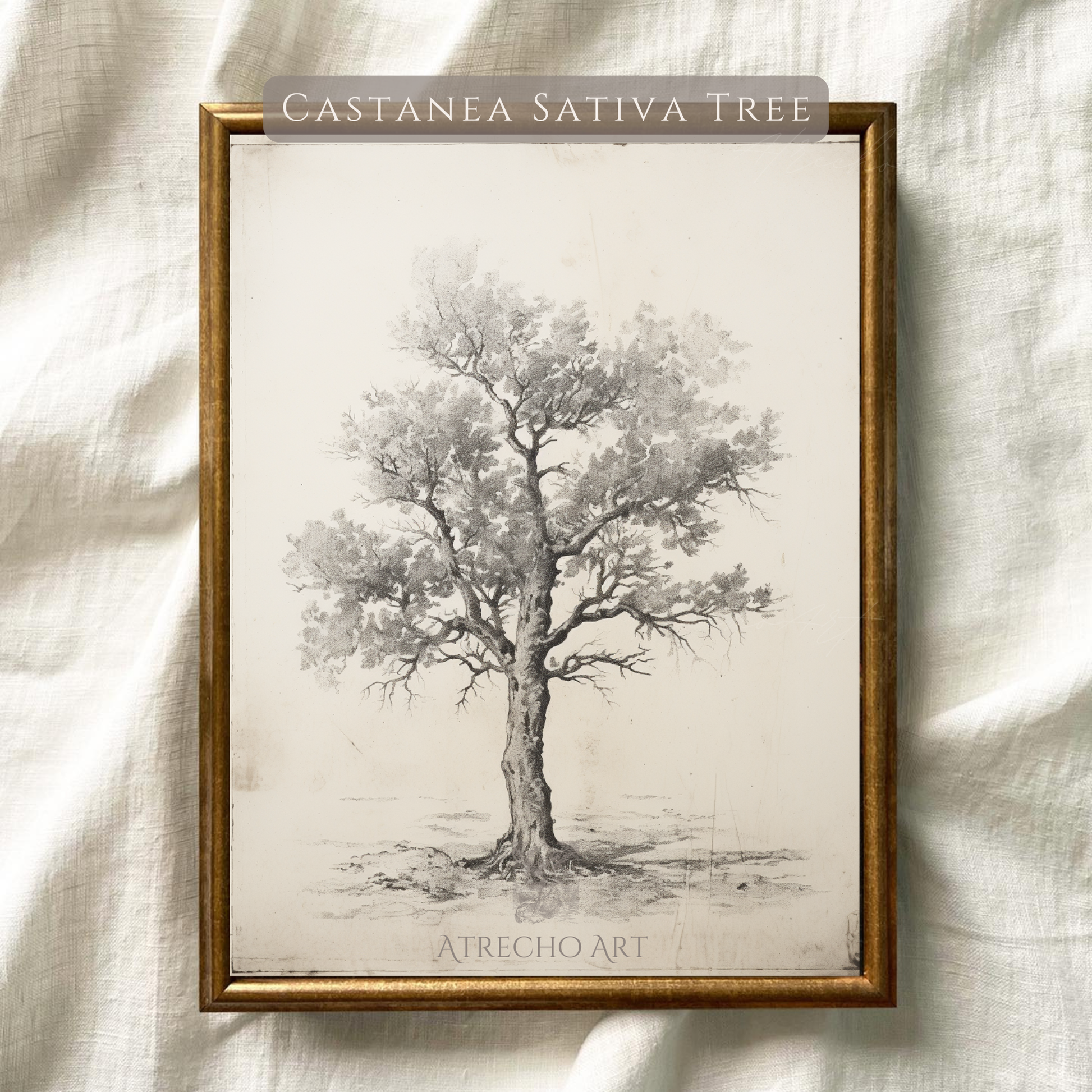 Vintage chestnut tree print against a natural linen texture, warm ivory paper and antique foxing visible by Atrecho Art