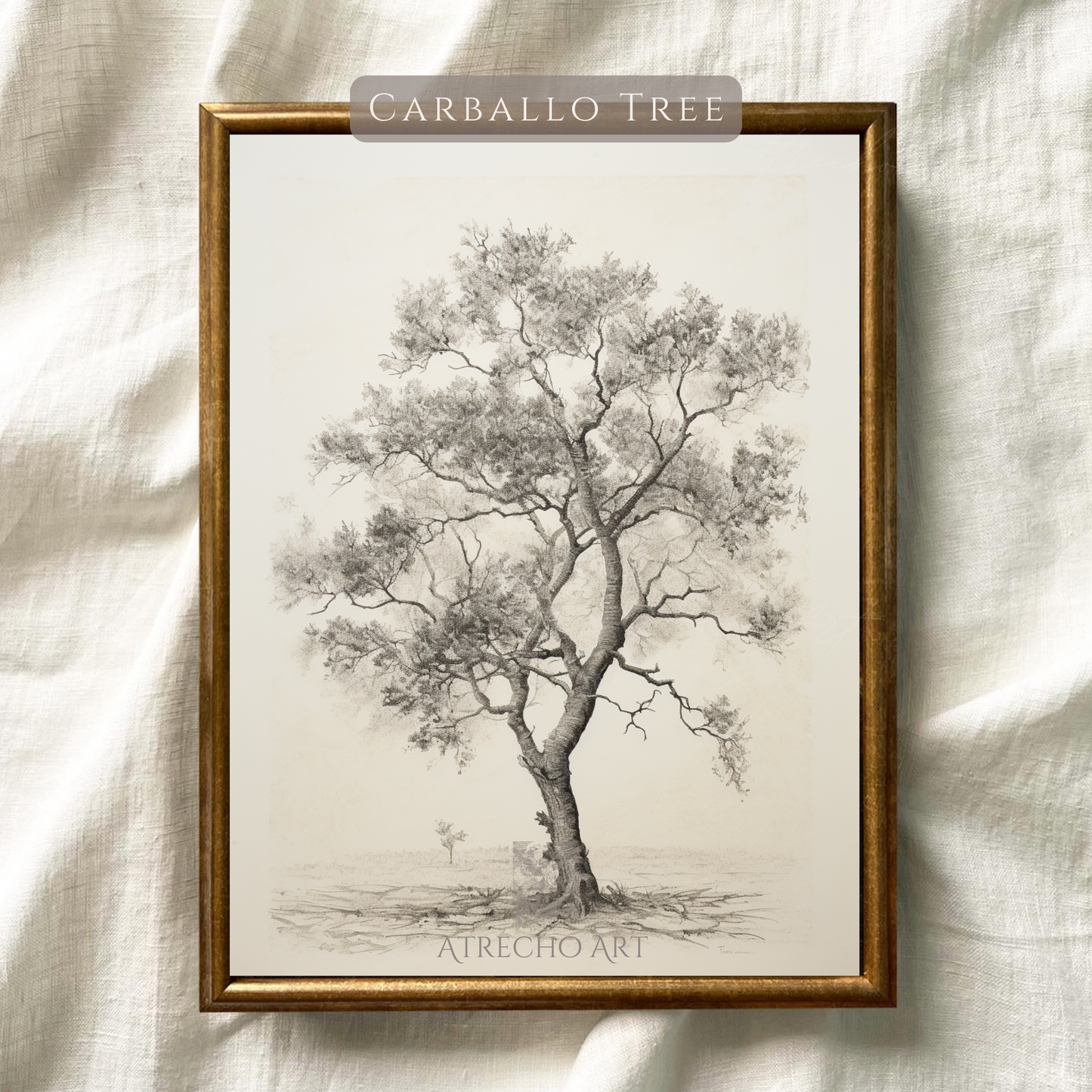 Lámina artística de árbol Carballo | Lámina botánica vintage | Naturaleza del viejo mundo