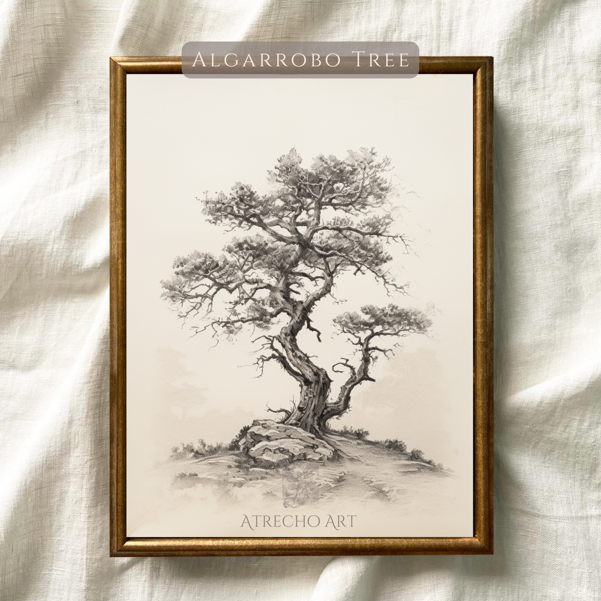 Vintage botanical tree print featuring detailed Algarrobo tree illustration with gnarled branches and delicate foliage, perfect for Mediterranean home decor