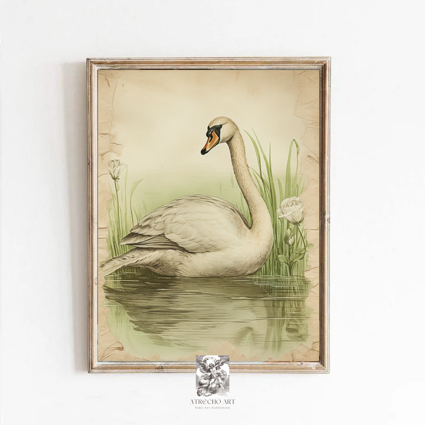 CISNE | Obra impresa | AN58