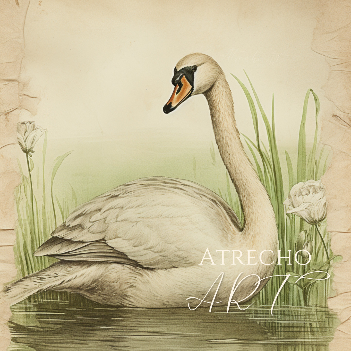 CISNE | Obra impresa | AN58