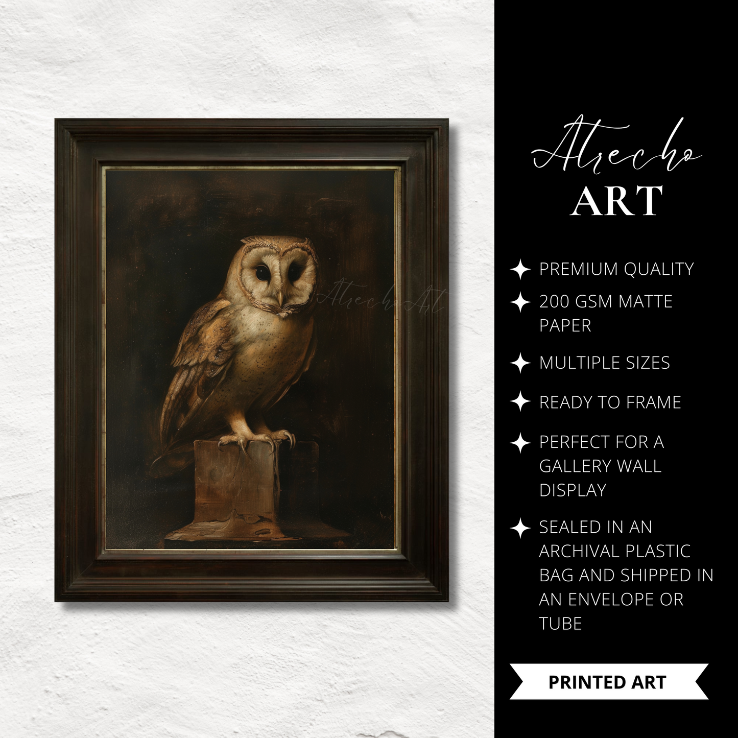 OWL | Printed Artwork | AN63