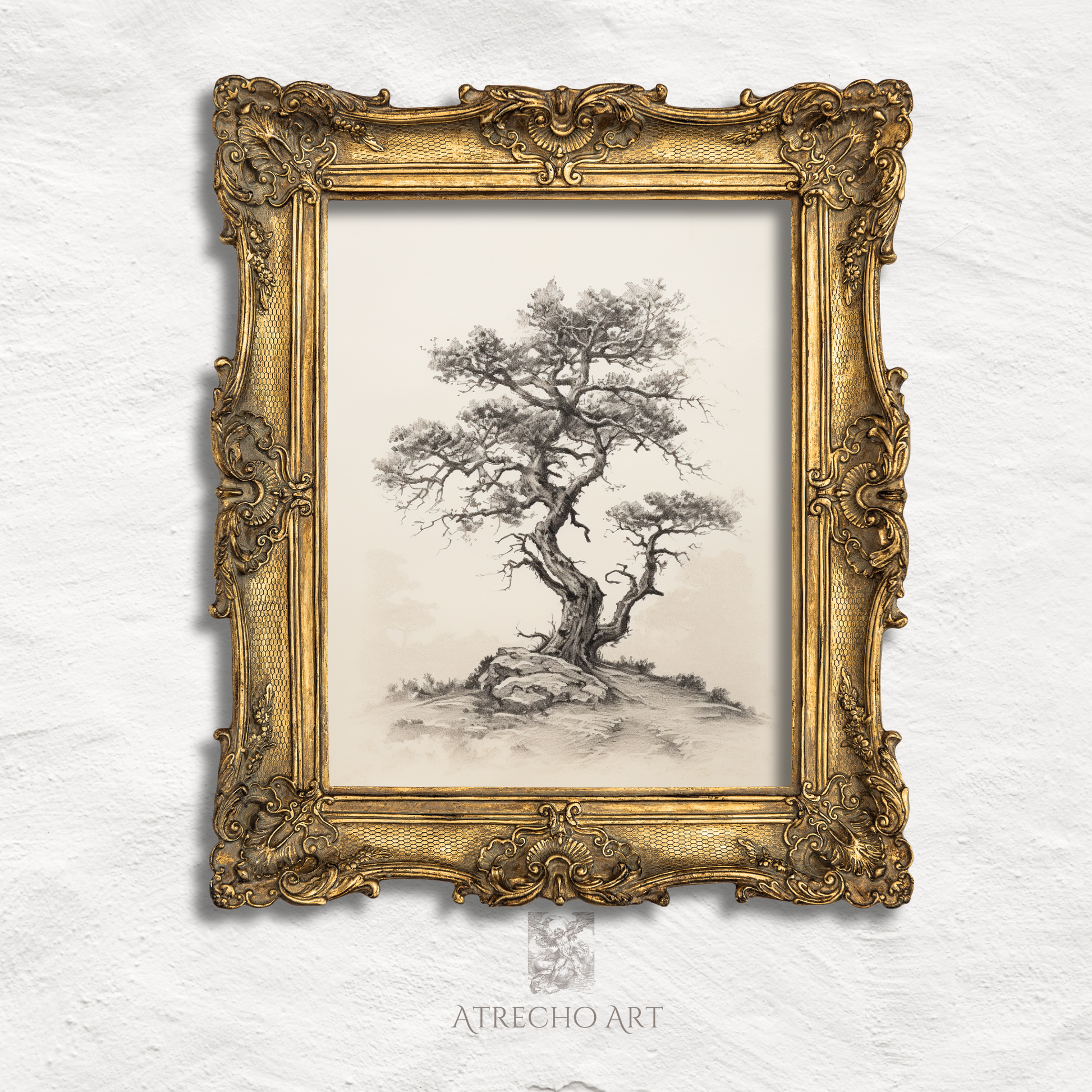Vintage botanical tree print featuring detailed Algarrobo tree illustration with gnarled branches and delicate foliage, perfect for Mediterranean home decor