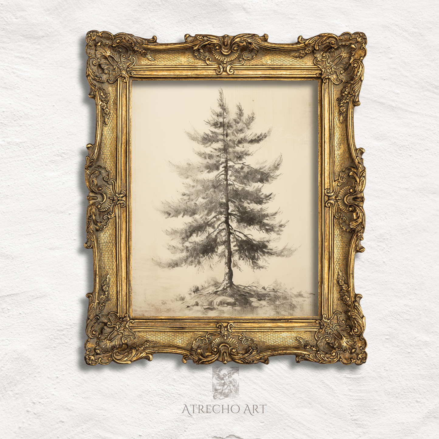 ABIES ALBA TREE | Printed Artwork | TR09