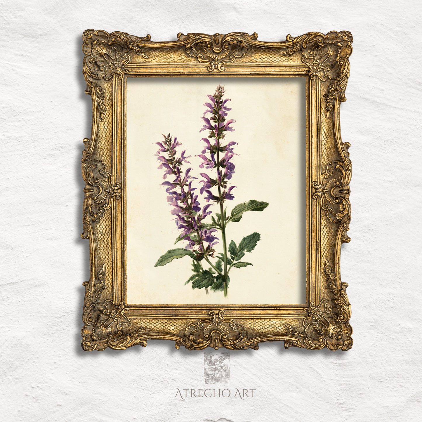 Spanish sage botanical print in an ornate antique-gold frame, vintage purple floral herbarium art by Atrecho Art