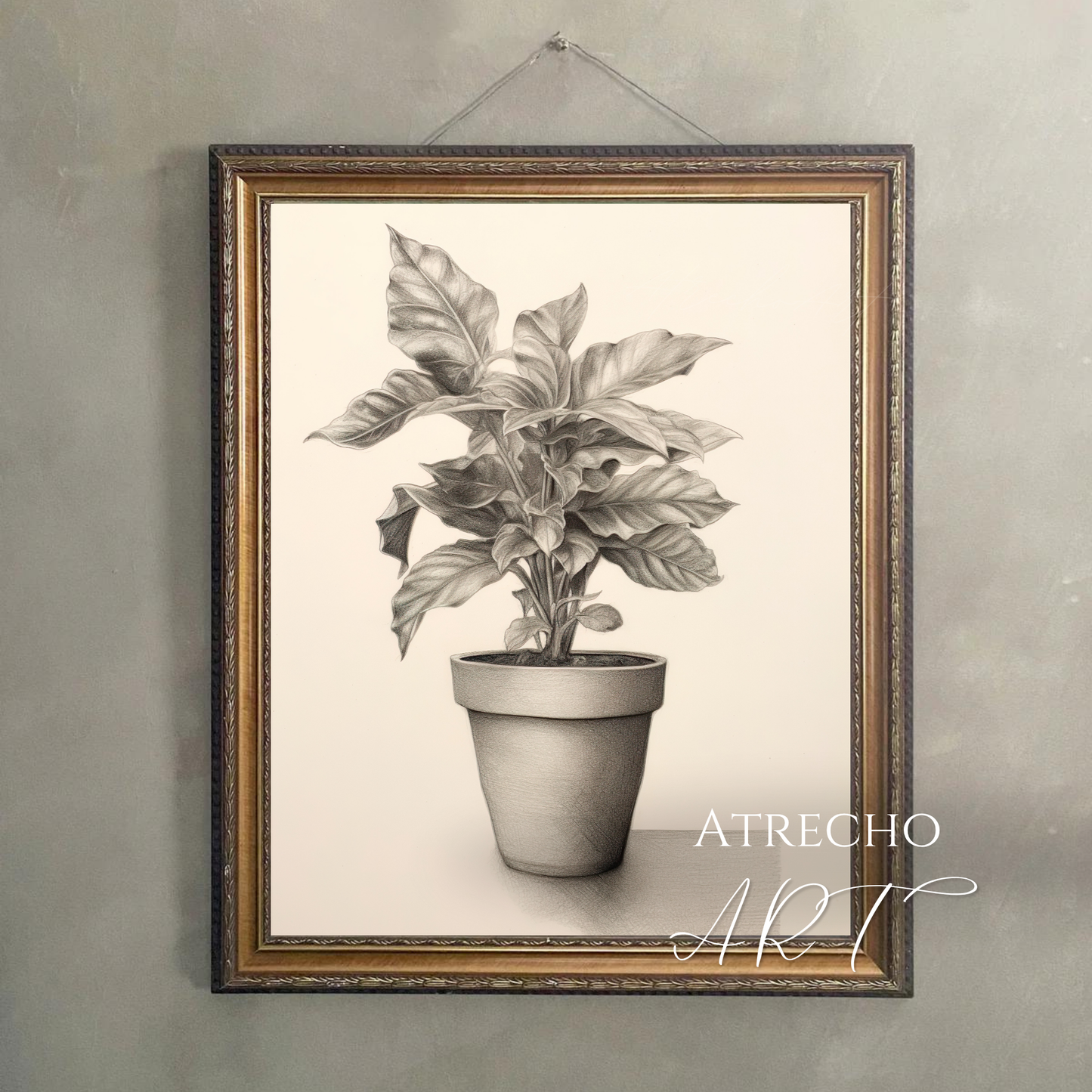 POTTED PLANT | Printed Artwork | TR19