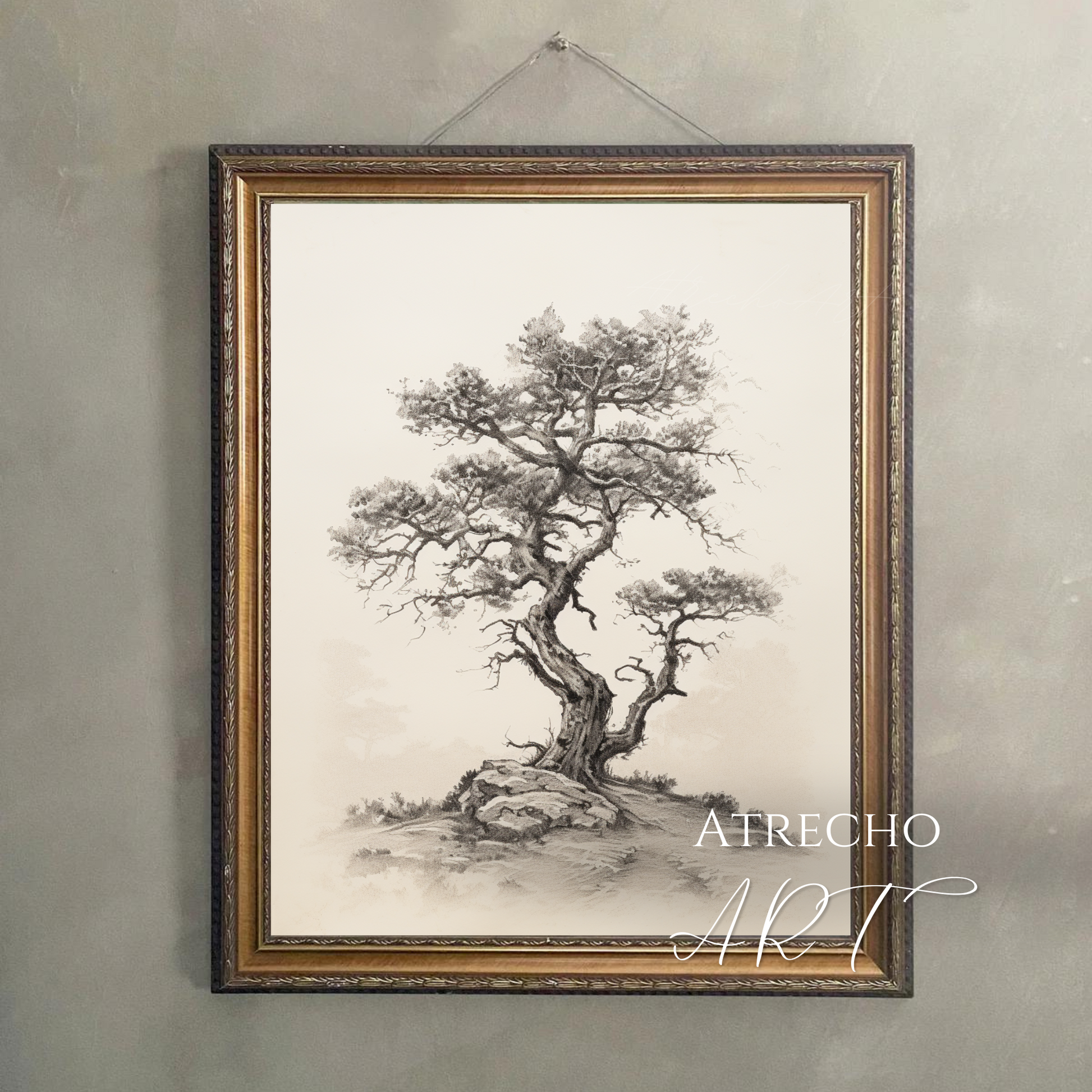 Vintage botanical tree print featuring detailed Algarrobo tree illustration with gnarled branches and delicate foliage, perfect for Mediterranean home decor