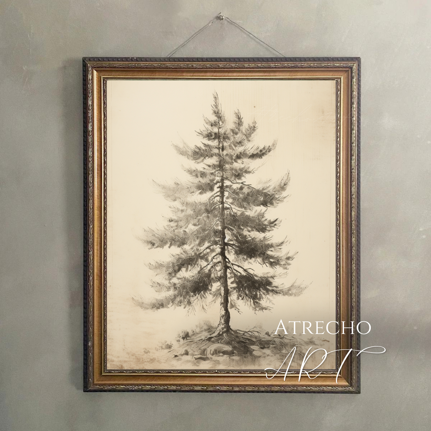 ABIES ALBA TREE | Printed Artwork | TR09