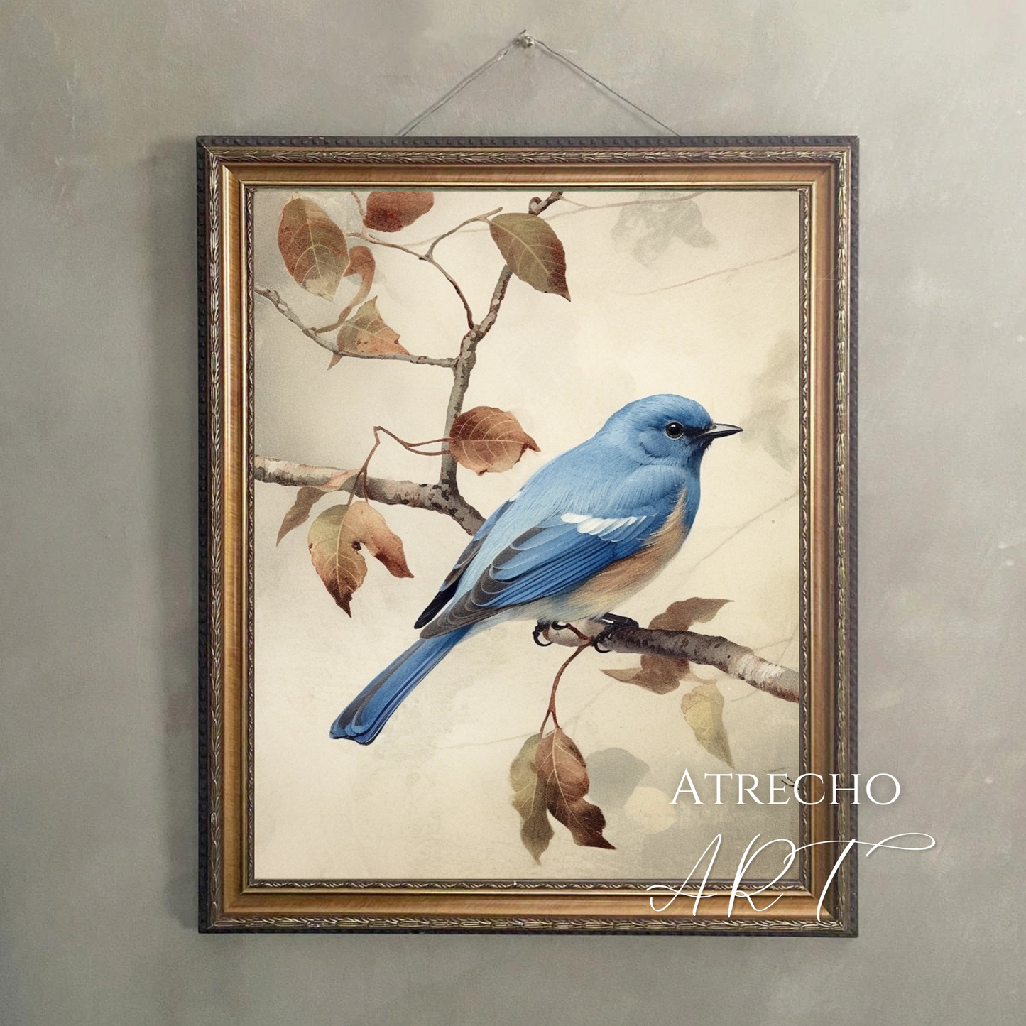 BLUEBIRD | Print or Canvas | AN09