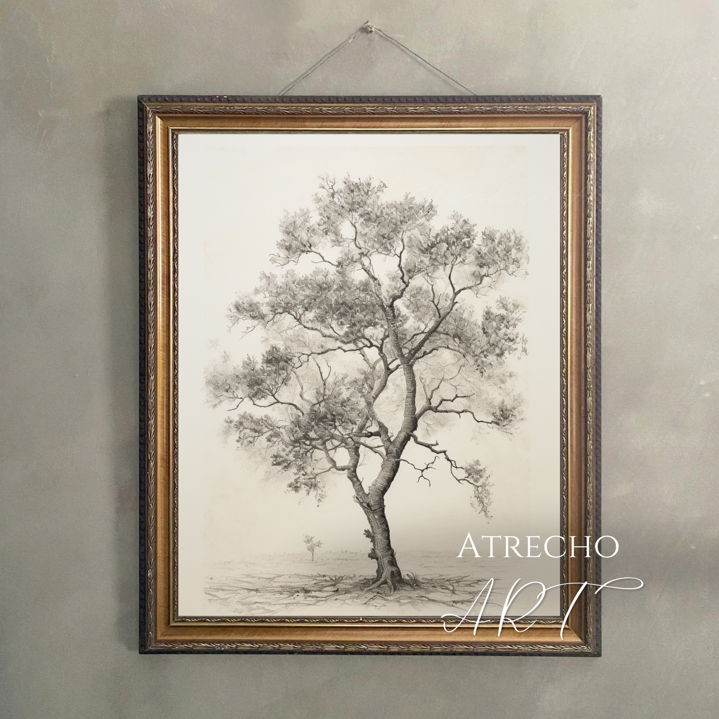 Lámina artística de árbol Carballo | Lámina botánica vintage | Naturaleza del viejo mundo