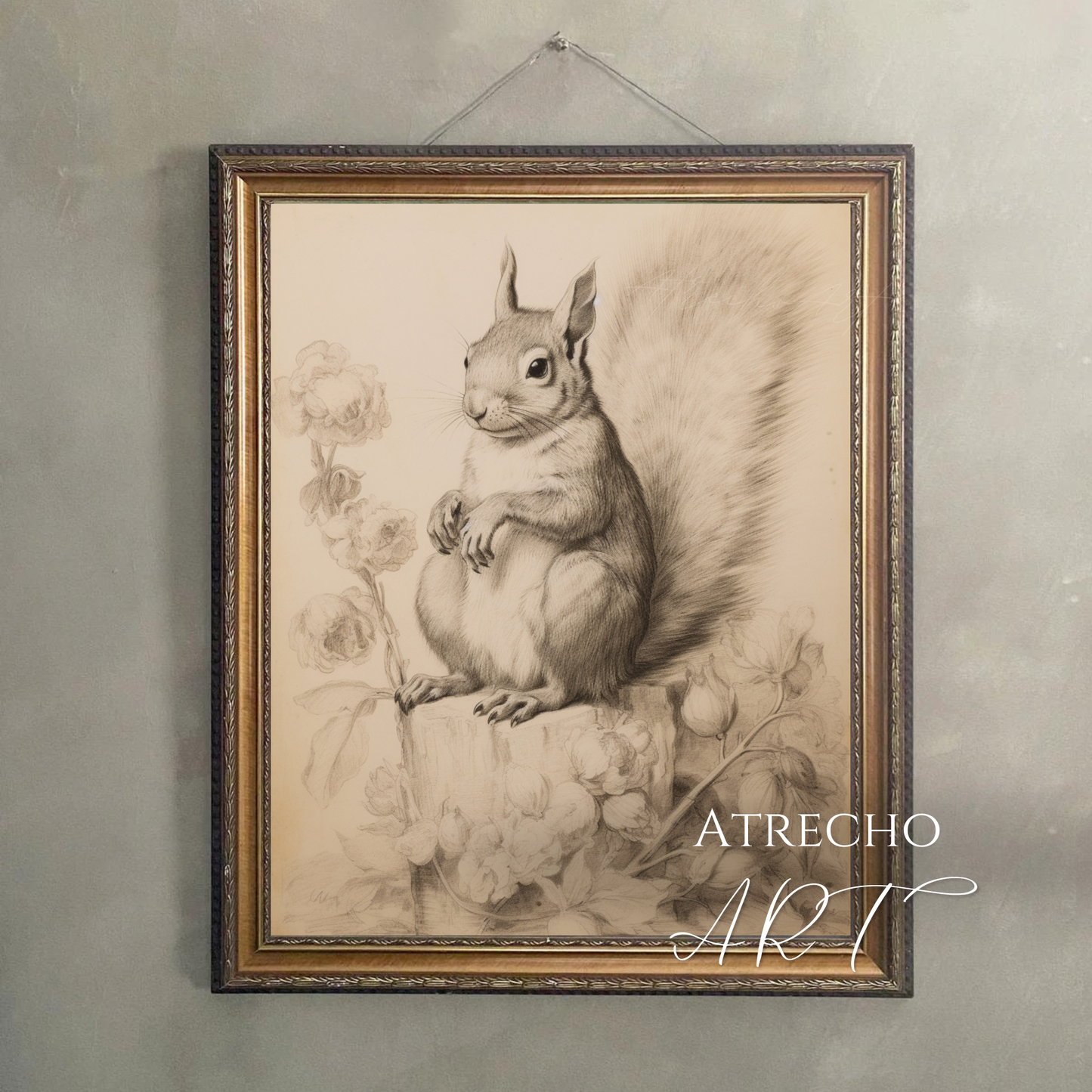 Framed red squirrel print hung on a gallery wall, tufted ears and bushy tail in graphite, by Atrecho Art