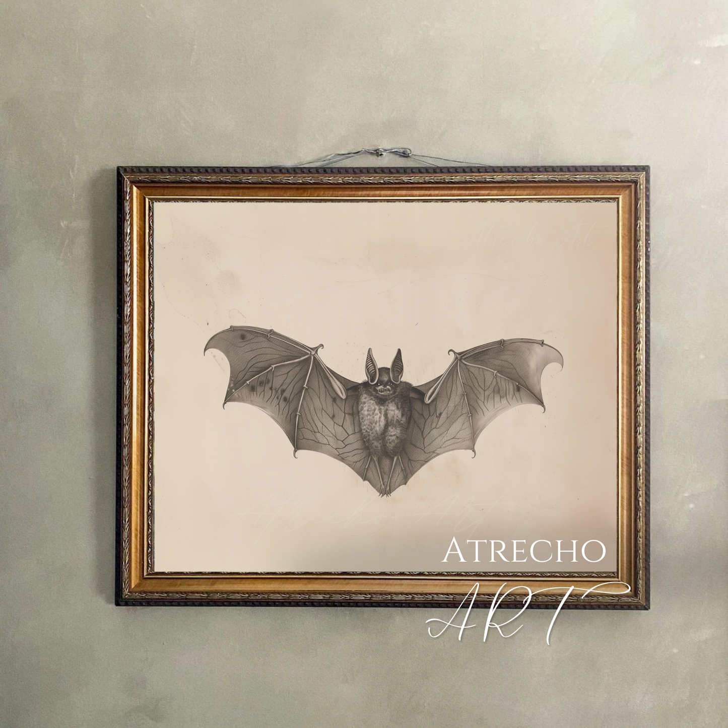 BAT | Œuvre imprimée | WH25