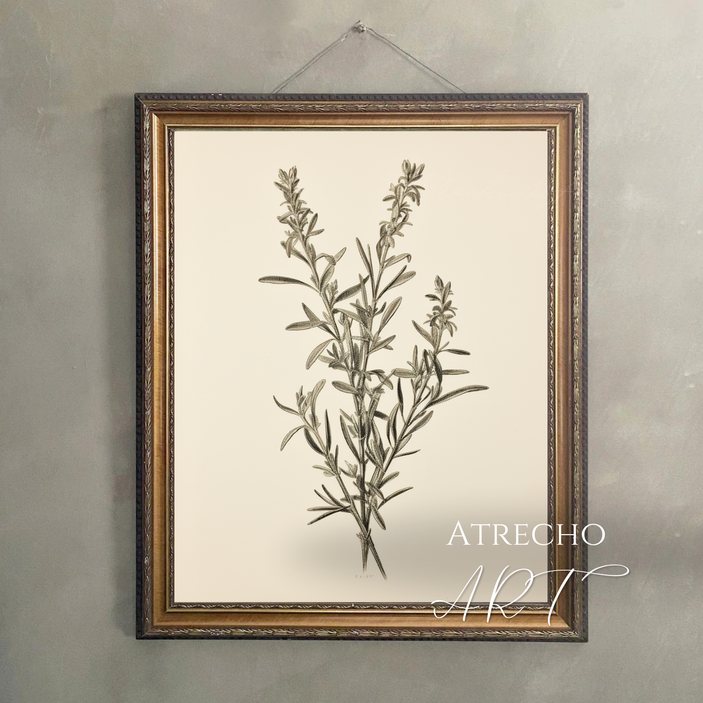 ROSEMARY | Printed Artwork | TR10
