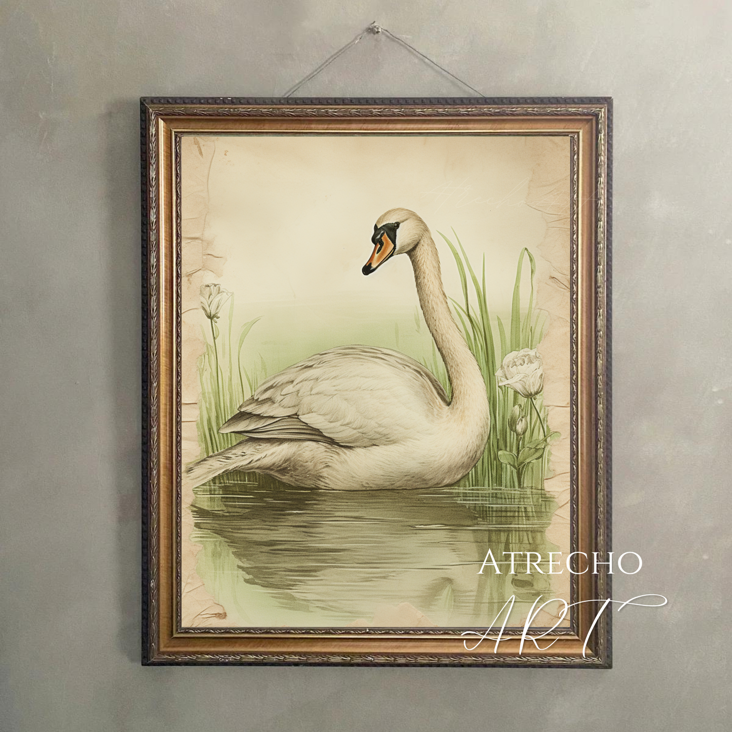 CISNE | Obra impresa | AN58