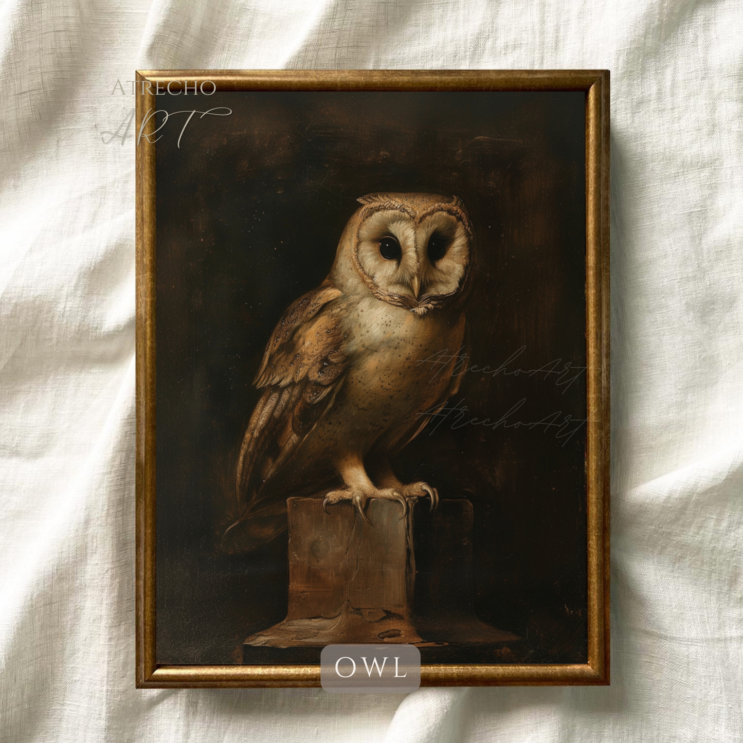 OWL | Printed Artwork | AN63