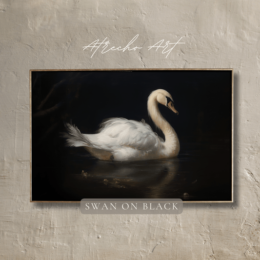 CYGNE SUR NOIR | AN08