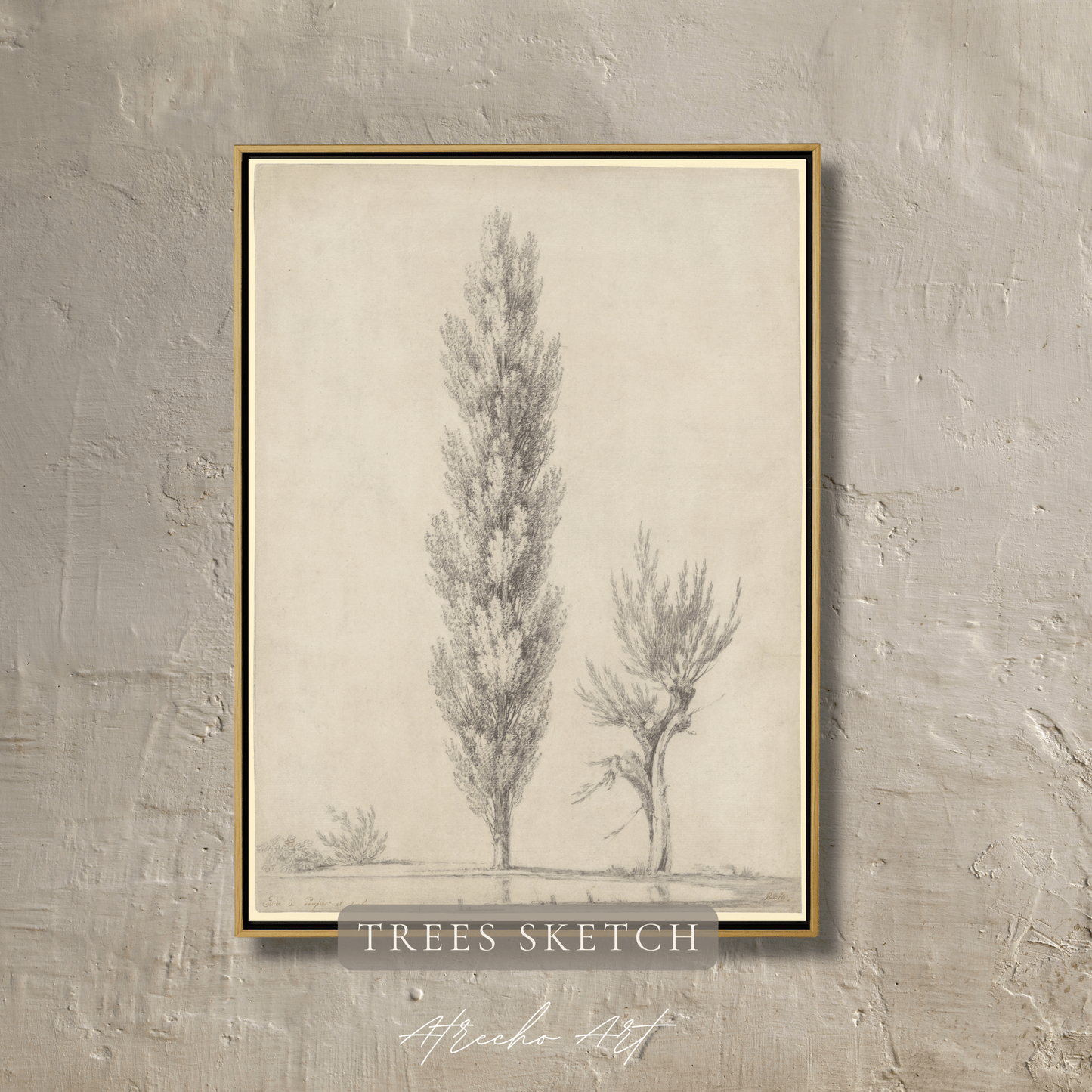 TREES SKETCH | Printed Artwork | TR27