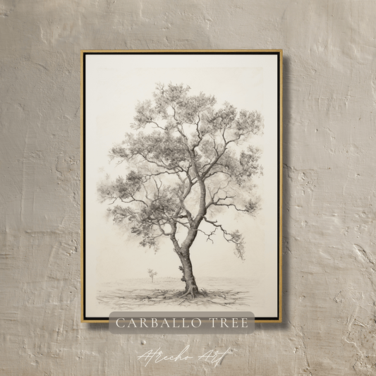 CARBALLO TREE | Printed Artwork | TR06