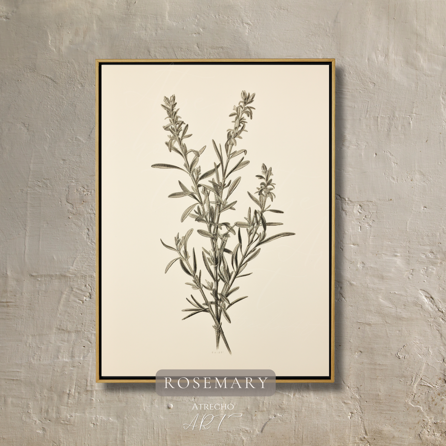 ROSEMARY | Printed Artwork | TR10