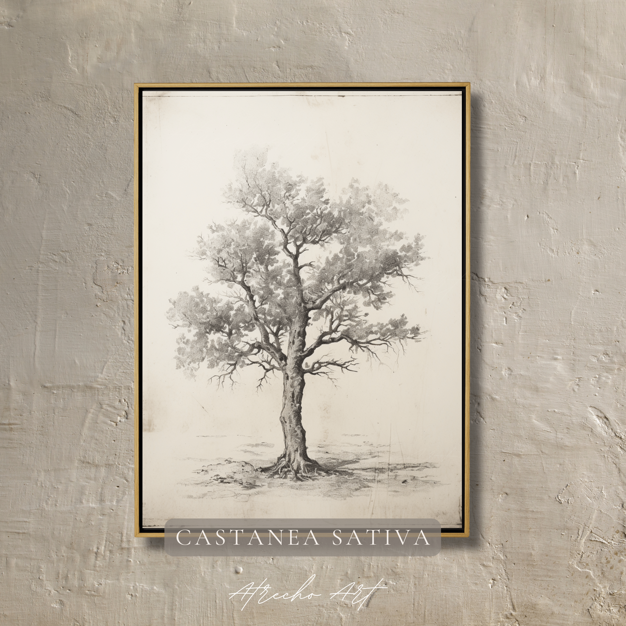 CASTANEA SATIVA TREE | Printed Artwork | TR07 – Atrecho Art