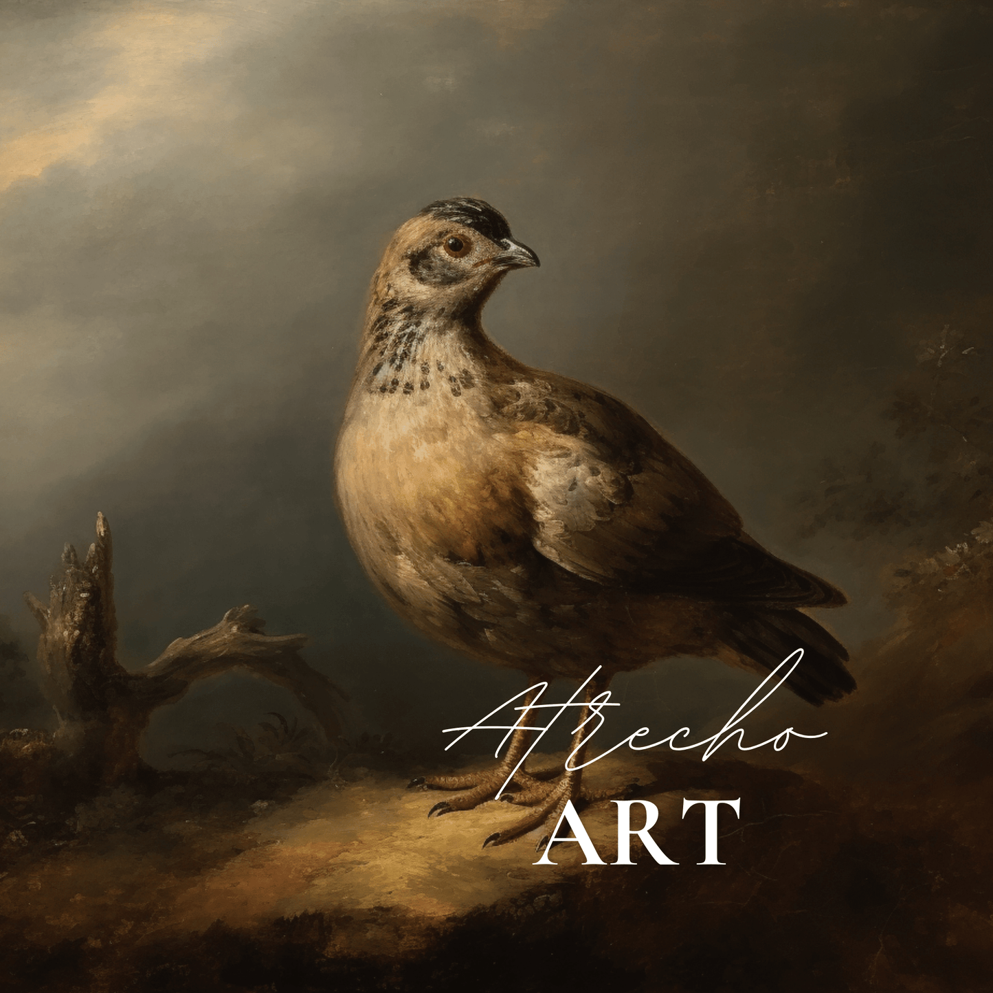 QUAIL | Matte Canvas Artwork | AN81