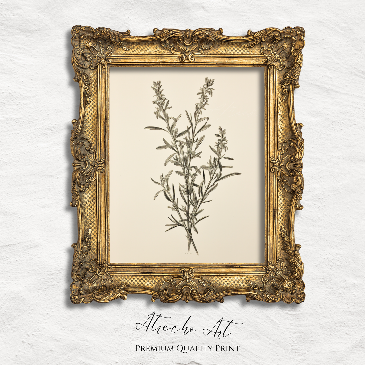 ROSEMARY | Printed Artwork | TR10