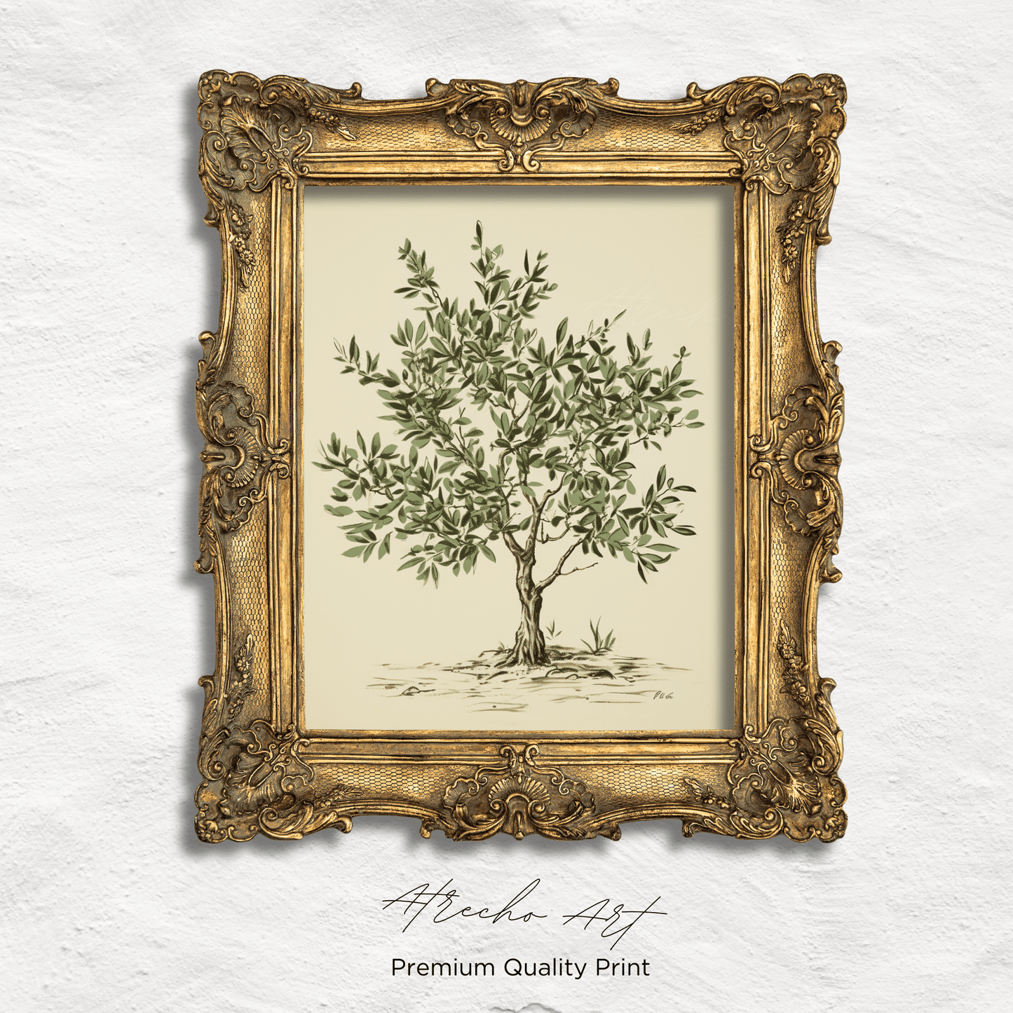 OLIVE TREE | Printed Artwork | TR14