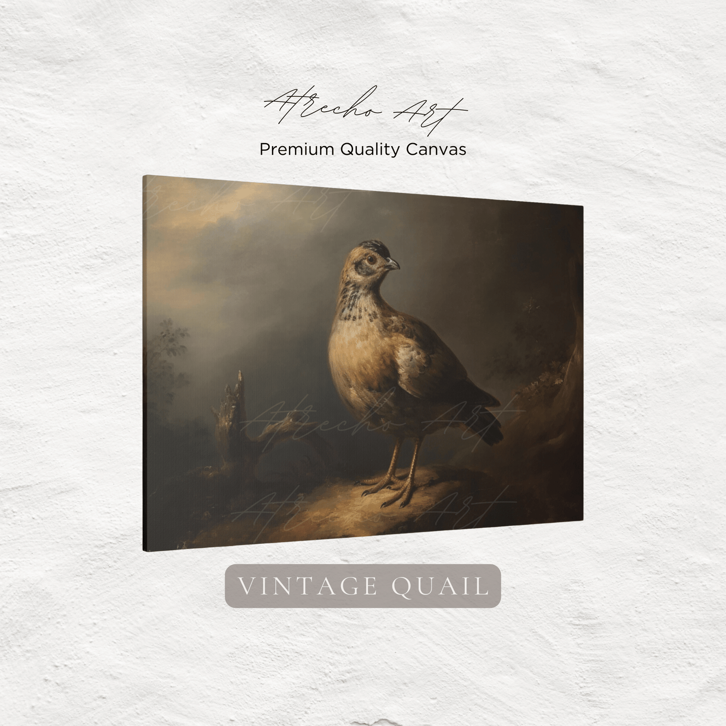 QUAIL | Matte Canvas Artwork | AN81